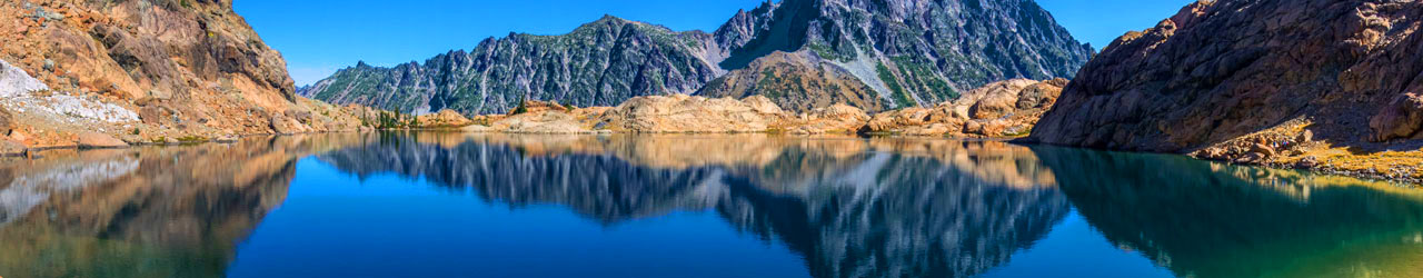 individual tax and advisory services banner